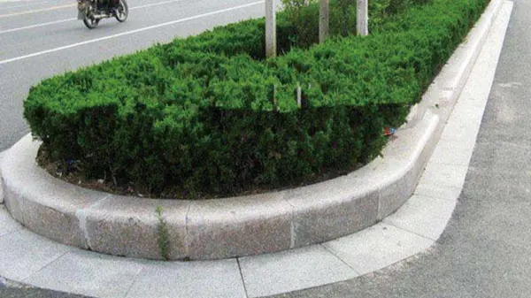 Машина для производства больших досок с одним поддоном